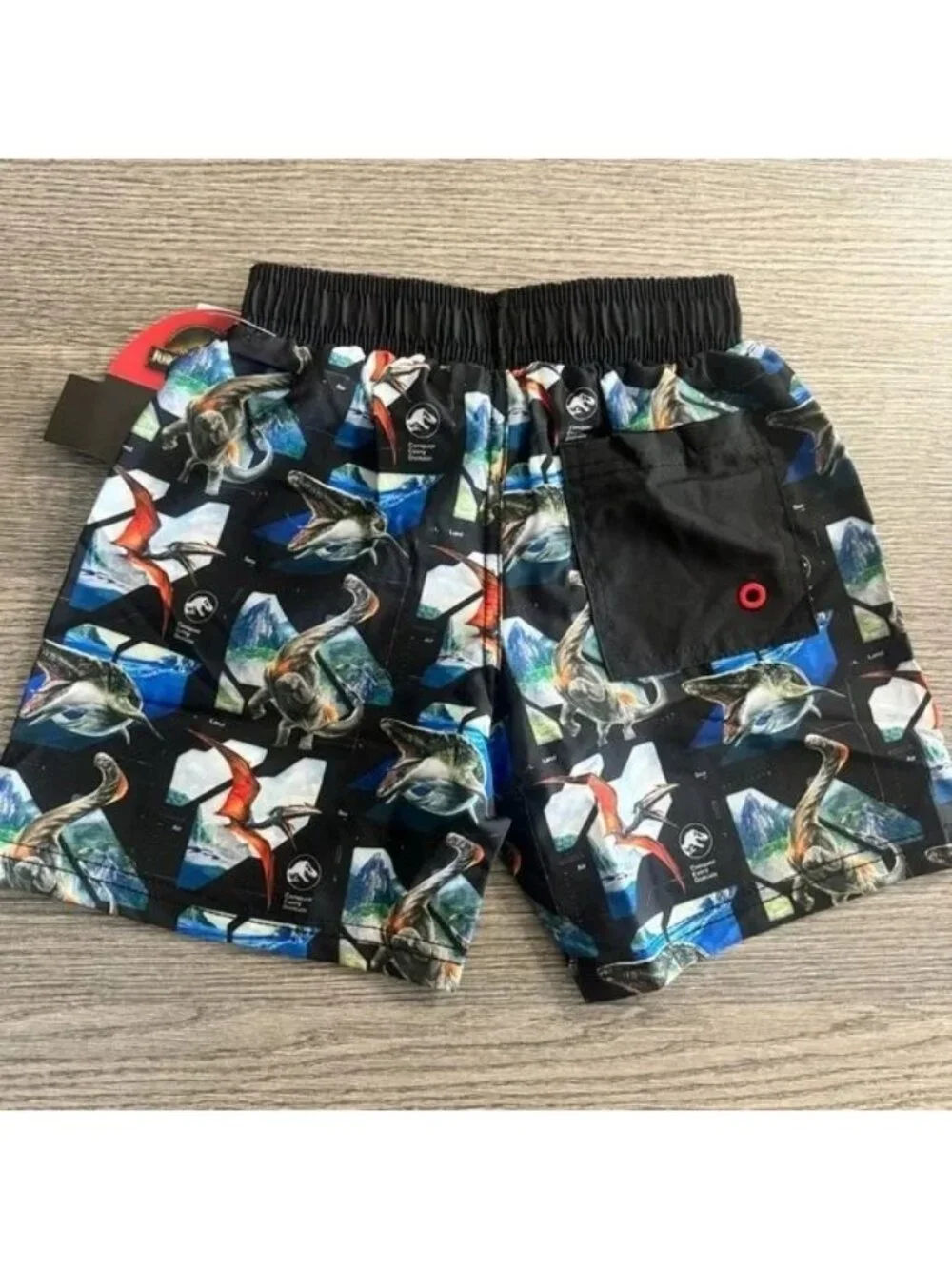 Jurassic World Rebirth Boys Swim Trunks Dinosaur Print BlackShorts Sz 4/5 #26285